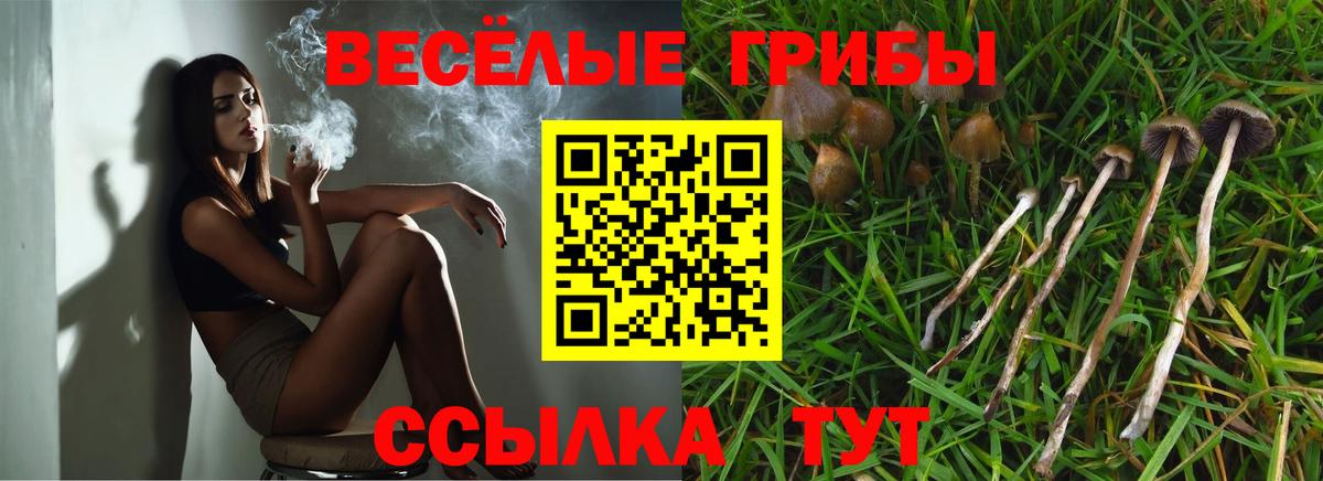 Галлюциногенные грибы GOLDEN TEACHER Протвино